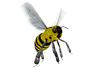 otherInsects